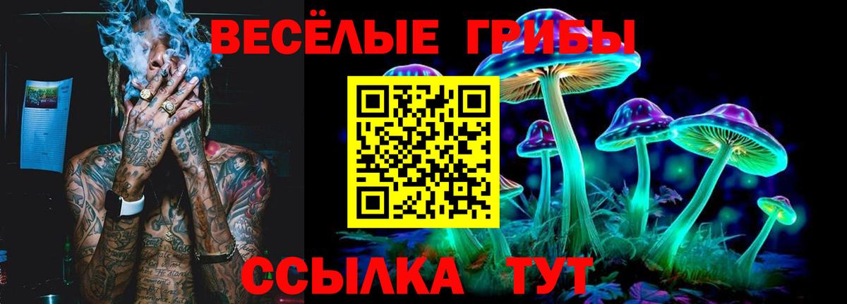 Глазов  Галлюциногенные грибы MAGIC MUSHROOMS  Вход с VPN 